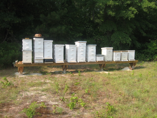 Bee Hive Stands